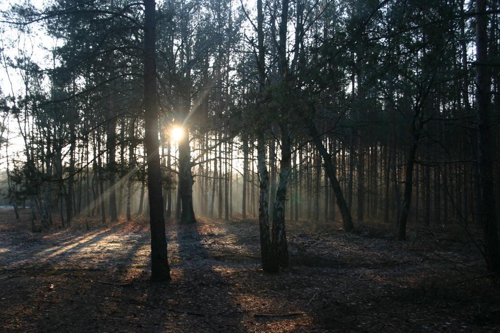 Vila Bednarzowka Nowy Tomyśl Exteriér fotografie